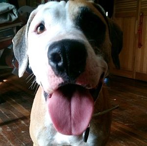 Meet your Posher, Nikki